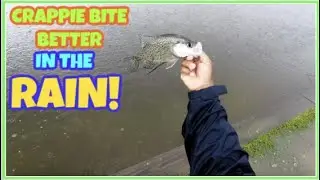 Catching LOADS of CRAPPIE durning a RAINSTORM!