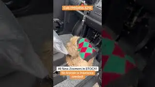 Enclosed Mobility scooters Vipermax Zoomer