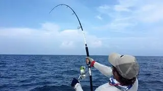 #shimano kaibutzu  plus #stella16000 #bertox stick vs big #yellofintuna maldives on gtfisher