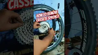 How to Remove an MTB Cassette Sprocket at Home (Step-by-Step Guide)