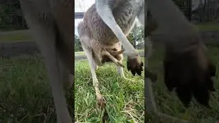 #shortsviral #shortsvideo #viralpost #shortspost #imterstimg #interiew