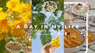  A Day in My Life ♡/Aesthetic Vlog /Cooking/Travel avel /Cozy day/Live in Qatar 