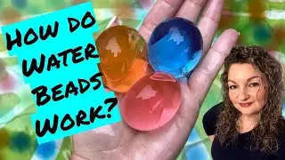 How do WATER BEADS Work? | OSMOSIS, POLYMERS, & REFLECTIVE INDEX | Orbeez Explained