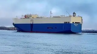 Watching a Colossal Car Carrier Ship in Motion