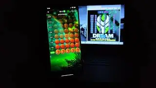Apple of Fortune Strategy 2026 🍎 | Smart 1xBet Gameplay