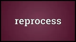 Reprocess Meaning