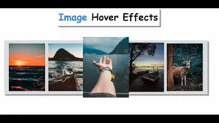 Image hover effects in css | Amazing image hover effects using html and css | Pure css coding