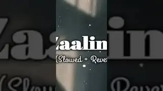 zalima(slowed+reverb) ||arijit singh#reverb #slowed ||shahrukh khan|tapsi pannu||tseiris
