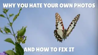 Why You Hate Your Own Photos and How To Fix It