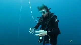 Seibel Lab, USF College of Marine Science