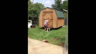 Shed moving with The Shed mover