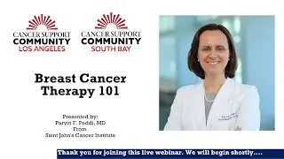 Breast Cancer Therapy 101