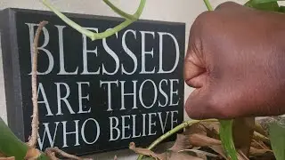 Romans 8th Chapter: 
