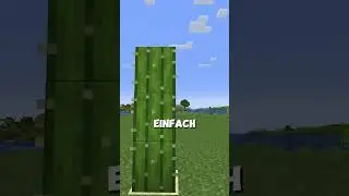 MEIN NETHERRITE!! #toastpro #minecraft #gaming #mc #deutsch #minecraftdeutsch #minecraftgaming #fact