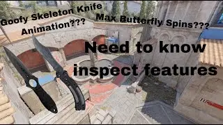Cs2 Inspect glitches that need to be features