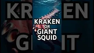 Was The Kraken Real? 🦑 Giant Squid's Terrifying Truth!
