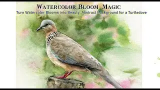 Watercolor Blooms Technique, Watercolor Background Tip: Abstract Background for a Turtledove✨