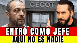 ENTRÓ COMO JEFE… Y EL CECOT LO SOMETIÓ