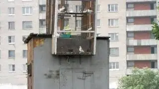 басовое приключение в двух частях (читайте описание перед просмотром) #music #noai #noaiart #зима