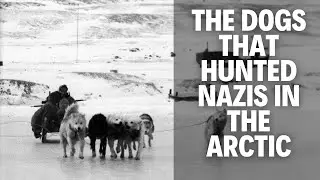 German Spies Thought The Arctic Was Their Secret - Until The Sledge Patrol Hunted Them Down