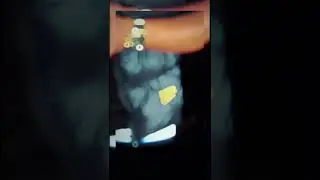 NO CAP - GAVI (out now) trending song