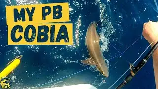 I lost the fish of a lifetime | MY PB Cobia