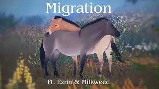 Migration || No Commentary Travelling || Milkweed & Ezrin