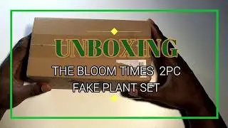 BLOOM TIMES BUDGET FAKE PLANTS FOR OFFICE OR HOME DECOR UNBOXING