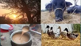 Doston ke sath ek khobsort trip