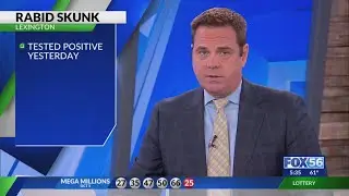 Skunk tests postiive for rabies in Lexington on Thursday