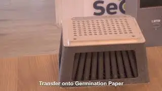 SeQso - DataCollector - Seed Analysis Equipment - @Innoveins 2022
