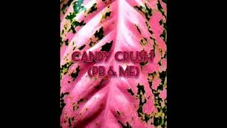 Candy Crush (PB & me) 
