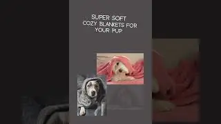 Super Soft Cozy Dog Blankets !