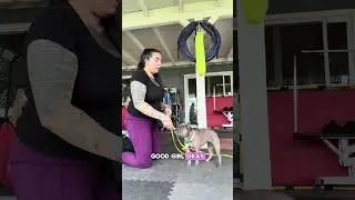 Training Essentials with Z Dog Training Academy: Lures and Introducing Cues