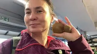 Розмір різний - одна ціна 🤷🏻‍♀️ Банкомат «зʼїв» картку🙈 Один нюанс нашого нового авто 🚙 . Vlog 26.16