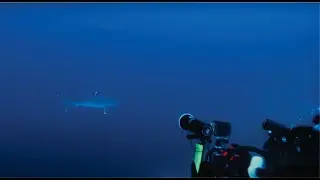 Eastern Field Dive Adventure on Golden Dawn
