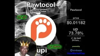 #Coinbase best in 24hrs. #pawtocol up 73.78%.