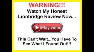 My Lionbridge Review