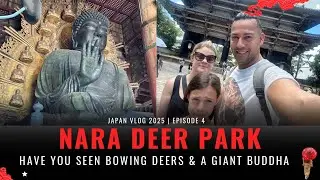 Nara Deer Park: Have you seen Bowing deers & a Giant Buddha before?