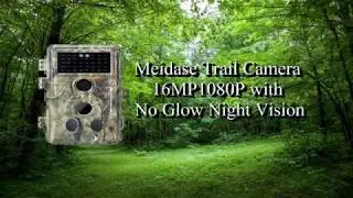 Meidase Trail Camera 16MP 1080P with No Glow Night Vision Video Test