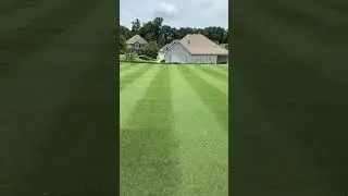 It needs verticutting... ⛳️