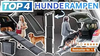 Beste AUTO HUNDERAMPEN (Testsieger 2026) | Top 4 Hunderampen für das Auto Vergleich