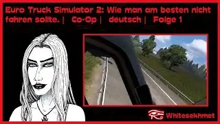 🚛 Euro Truck Simulator 2: Wie man am besten nicht fahren sollte. | Co-Op | deutsch | Folge 1