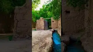 #nature tour #natural #tourism #iran #beautiful #jungle #cottage #Nature_photography #ایران #طبیعت