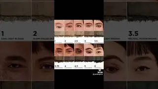 NEW BENEFIT COSMETICS BROW POWDER