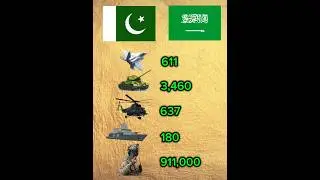 Combined Power of Pakistan & Saudi Arabia Military