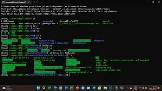 How to create fasta file with genetic sequence using WSL ubuntu and transfer files between the OS