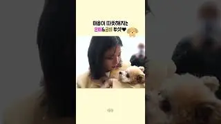 어떻게 강아지 귀가 감자수제비🐶 #권은비 #Shorts