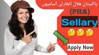 New jobs in Pakistan Halal Authority (PHA) Apply Now