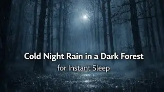 Cold Night Rain in a Dark Forest for Instant Sleep